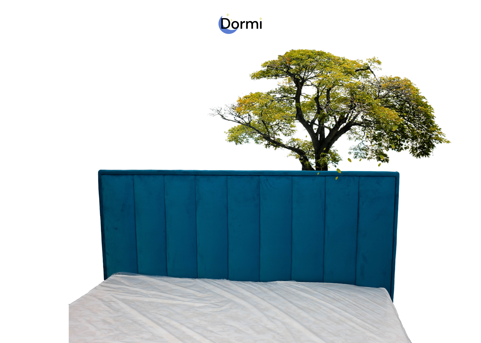 Pat Soho Dormi.md